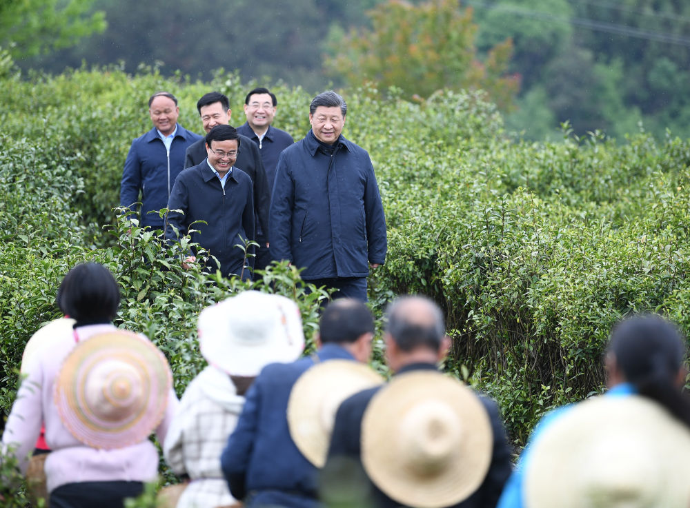 2020年4月21日，習(xí)近平來到陜西省安康市平利縣老縣鎮(zhèn)，在茶園考察脫貧攻堅情況。新華社記者 燕雁 攝